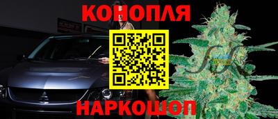 a pvp Лесосибирск