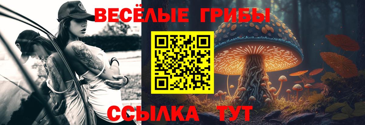 Галлюциногенные грибы MAGIC MUSHROOMS Хабаровск